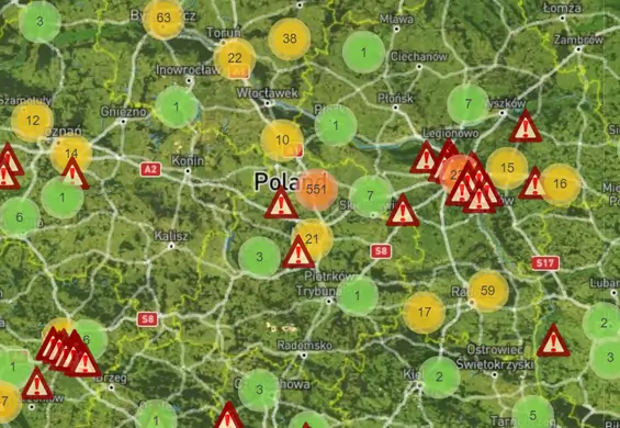 Gdzie w Polsce jest najwięcej kleszczy? Sprawdź przed urlopem [mapa]