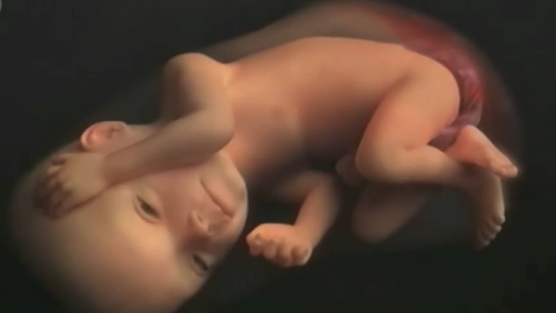 Magija života: 9 meseci trudnoće za 4 minuta