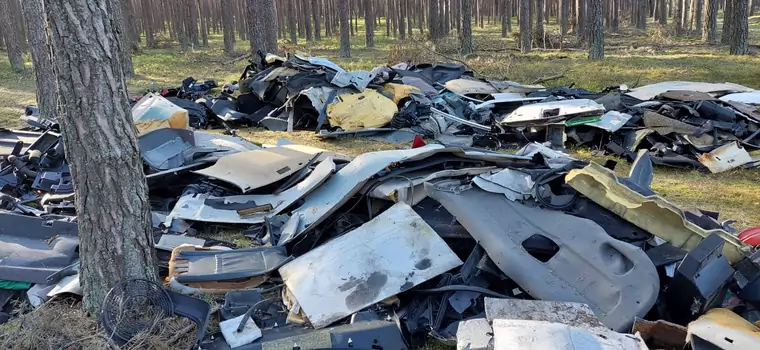 Części samochodowe w środku lasu. "To prawdziwa plaga"