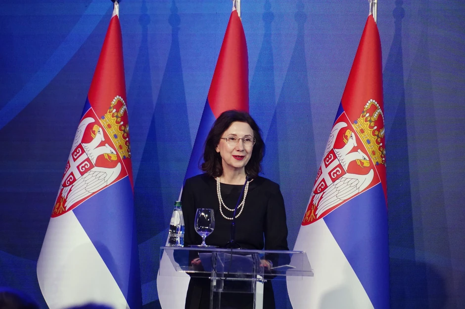 Dragana Mitrović  profesorka na FPN u Beogradu 