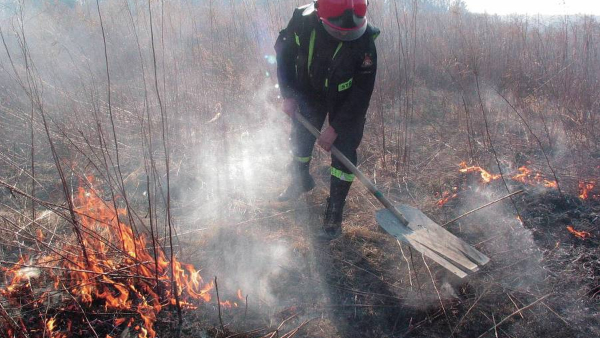 Ok. 30 hektarów połonin spłonęło pomiędzy Tarnicą a Haliczem w Bieszczadach. W trwającej trzy godziny akcji gaśniczej brało udział 40 strażaków.