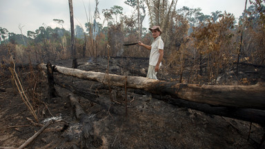 Beata Pawlikowska o pożarach w Amazonii: Bóg bierze sprawy we własne ręce