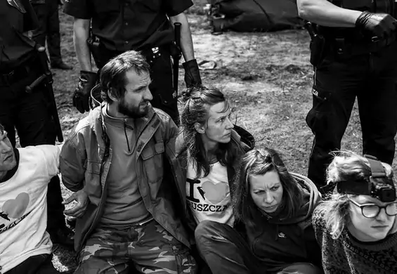 Greenpeace: "Straż leśna traktuje nas brutalnie, aktywistka została uderzona pięścią w głowę"