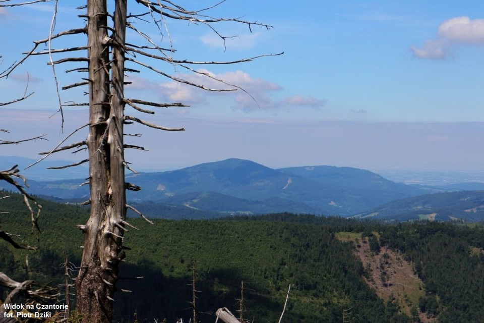 Widok na Czantorię, Park Krajobrazowy Beskidu Śląskiego
