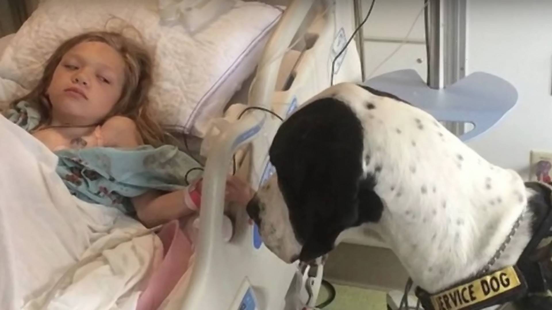 Priča o bolesnoj devojčici i psu je dirljiva oda ljubavi