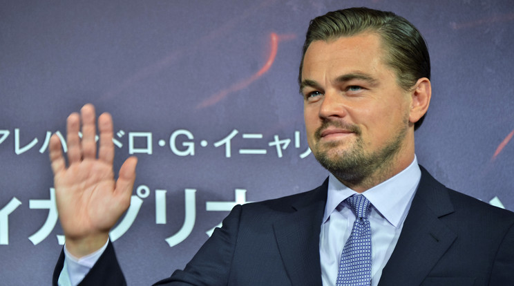 Leonardo DiCaprio / Foto: Northfoto