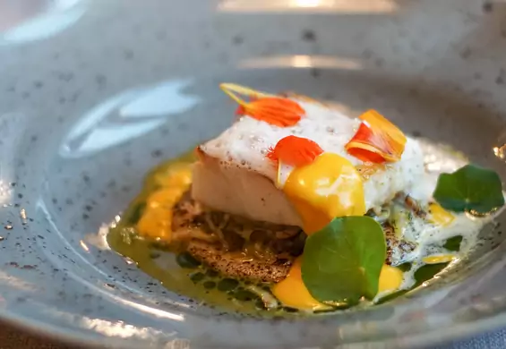 Przetestowaliśmy degustacyjne menu Fine Dining Week. Jak smakuje kacze jajko w wywarze z węgorza?