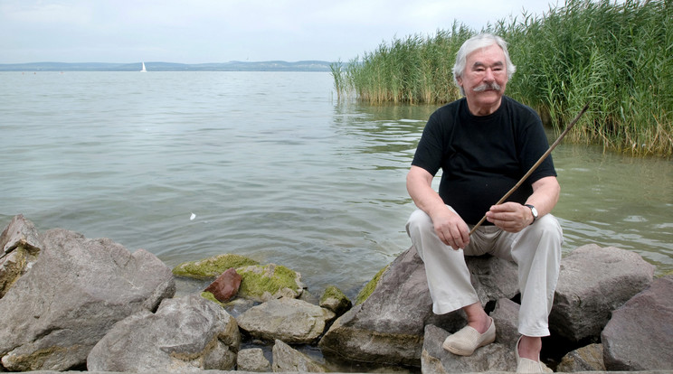 Balatonszárszó az író
második otthona, ha
teheti, lesétál a tóhoz / Fotó: MTI-Kollányi Péter