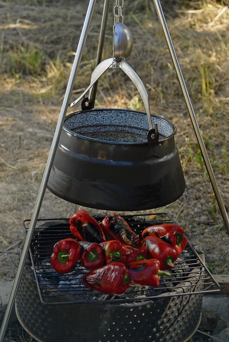 Zbog pečenja paprika na terasama i javnim površinama podneto 10 prijava od početka godine u Beogradu