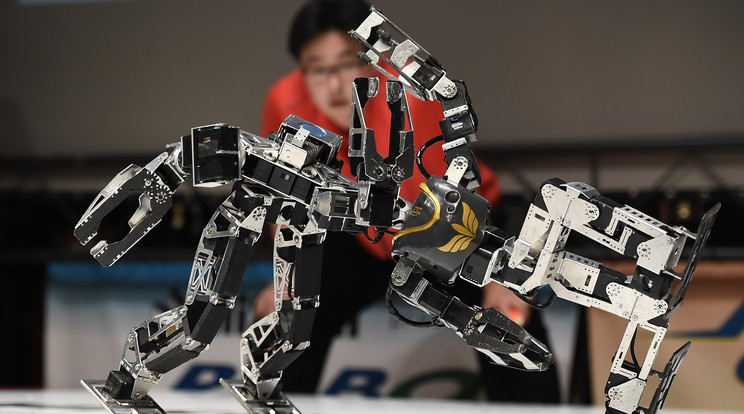 A két lábon járó gépezetek küzdelméért megőrülnek Japánban, külön bajnokságuk is van /Fotó: Getty Images
