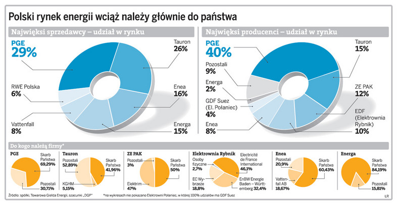 Polski rynek energii wciąż należy głównie do państwa