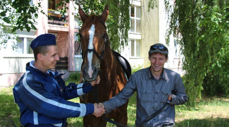 Nem okozott balesetet az elszabadult ló - így kapták el Tatán /Fotó: Police.hu