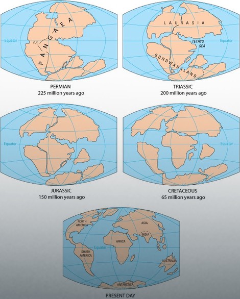 Pangea