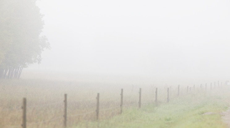 Köd miatt adott ki figyelmeztetést az OMSZ /Fotó: Northfoto
