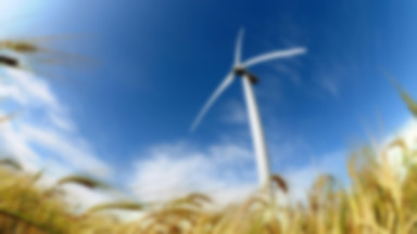 Iberdrola wybuduje farmę wiatrową Marszewo za 124 mln zł