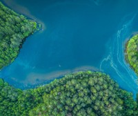 如何自己搭建梯子上外网