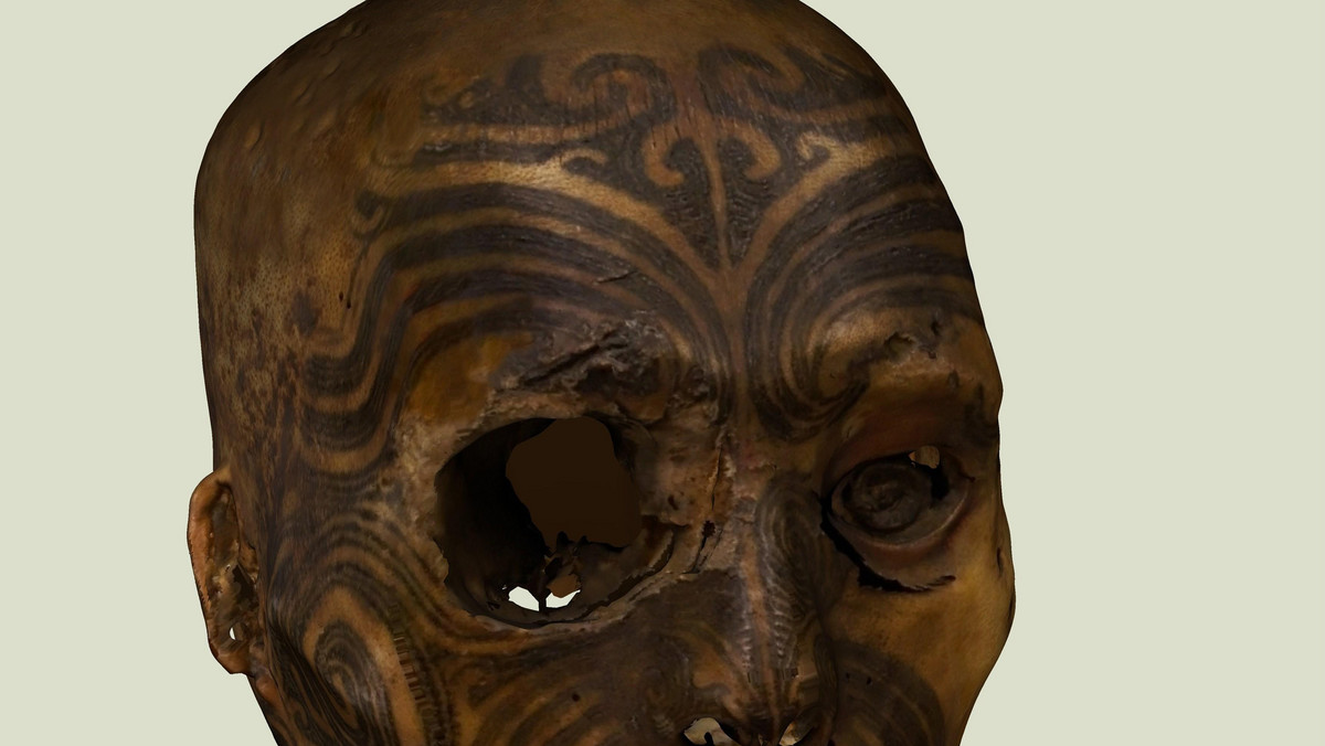 Francuskie muzeum w Rouen zwróci 16 zmumifikowanych głów Maorysów, które w XIX w. przywieziono do Europy jako egzotyczną ciekawostkę. Pierwszą przekazano w poniedziałek Nowej Zelandii, następne muzeum planuje oddać w 2012 r.