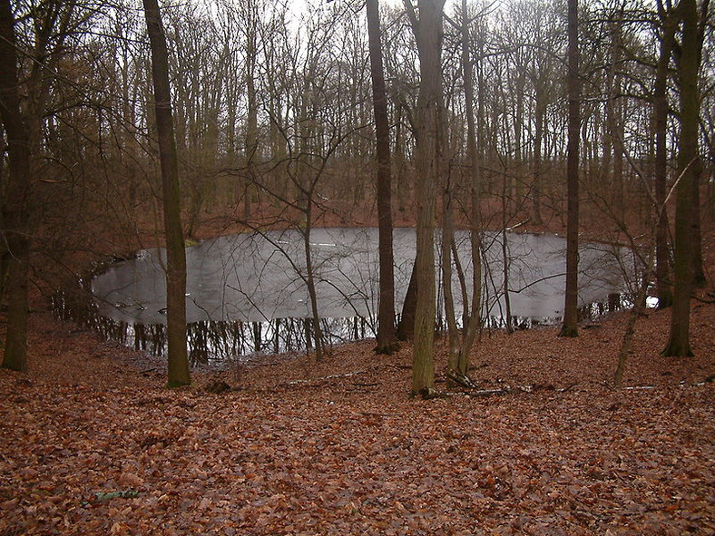 Morasko, krater po uderzeniu meteorytu (rezerwat Morasko)