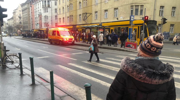 Áll a villamosforgalom a Mechwart ligetnél történtek miatt /Fotó: Blikk