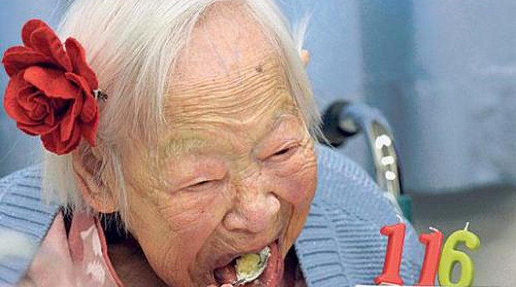 116 éves a világ legidősebb hölgye