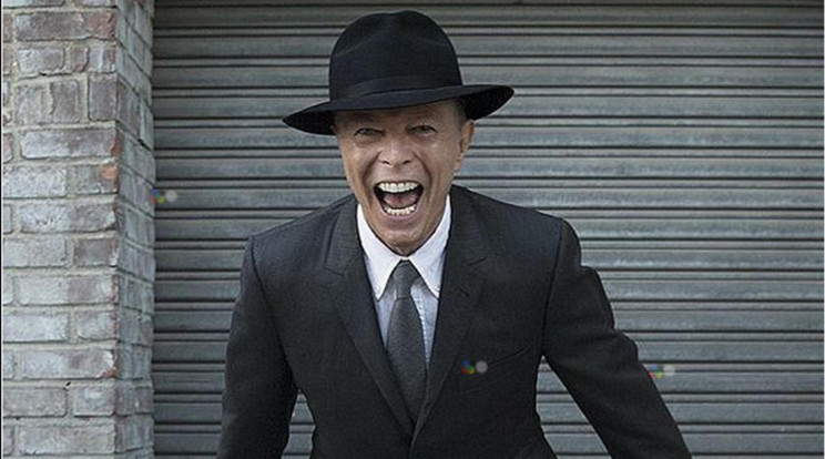 David Bowie nemrég lett volna 70 éves /Fotó: Northfoto
