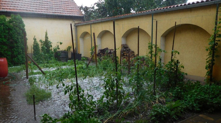 Pusztító jégvihar volt Kecskeméten / Fotó: olvasónk, Tiszavölgyi Gábor