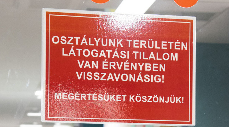 Egyre több kórházban rendelnek el látogatási tilalmat országszerte az influenza-járvány miatt /Fotó: MTI - Balázs Attila