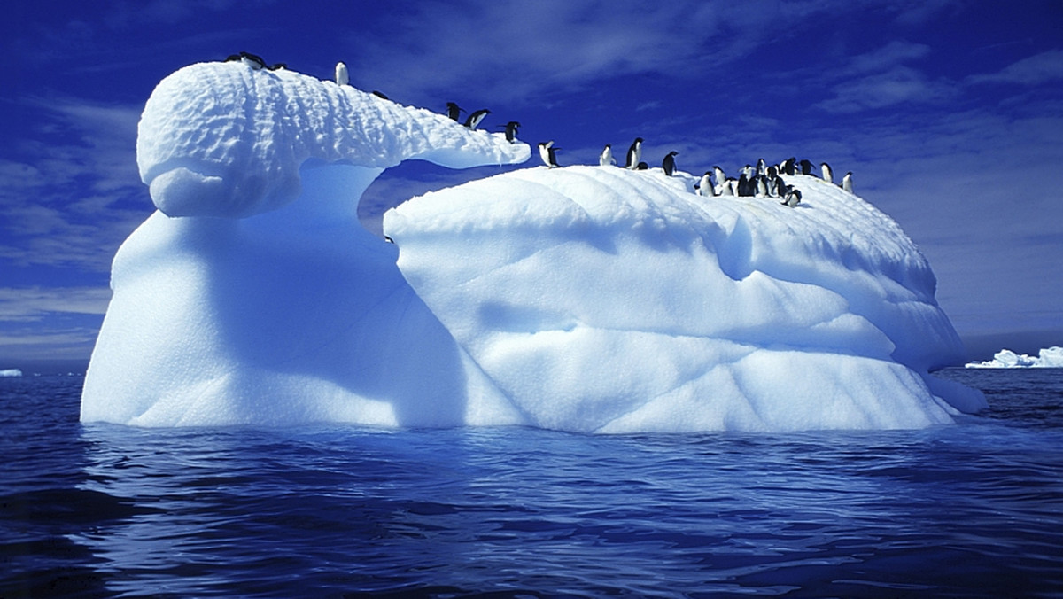 Google wkroczył na ostatni kontynent. Teraz każda osoba posiadająca dostęp do internetu może odwiedzić również Antarktykę.