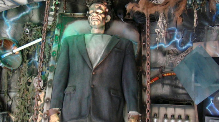 A helyszínre érkező ügynökök Frankensteinhez hasonlították a látottakat /Illusztráció: Northfoto
