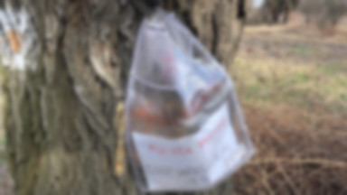Listy w foliowej torbie na drzewie? Tak dostarcza je listonoszka Poczty Polskiej
