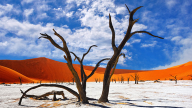 Namibia - afrykańska kraina kontrastów