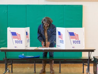 Voting in Democratic Primary in South Carolina