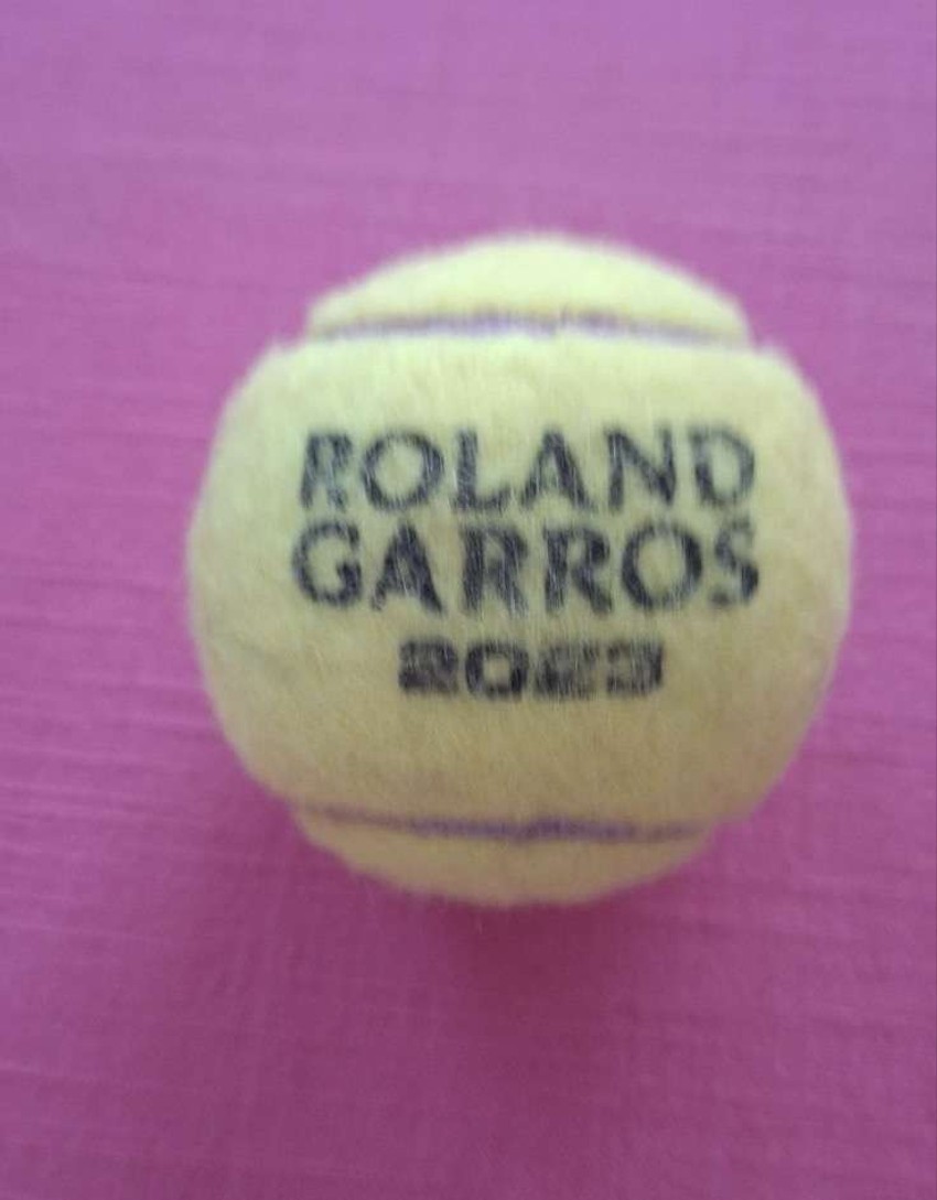 Humanitarac Vladimir prodaje Novakovu čuvenu loptu