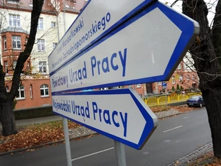 bezrobocie praca urząd pracy