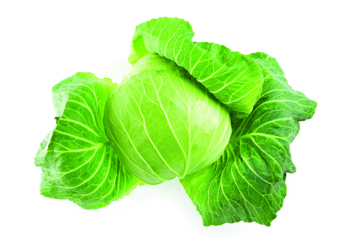 kupus mrkva rotkva 3 1 1