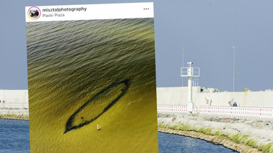 Niezwykłe odkrycie na Bałtyku. Fotograf uchwycił wrak statku z początku XX w.