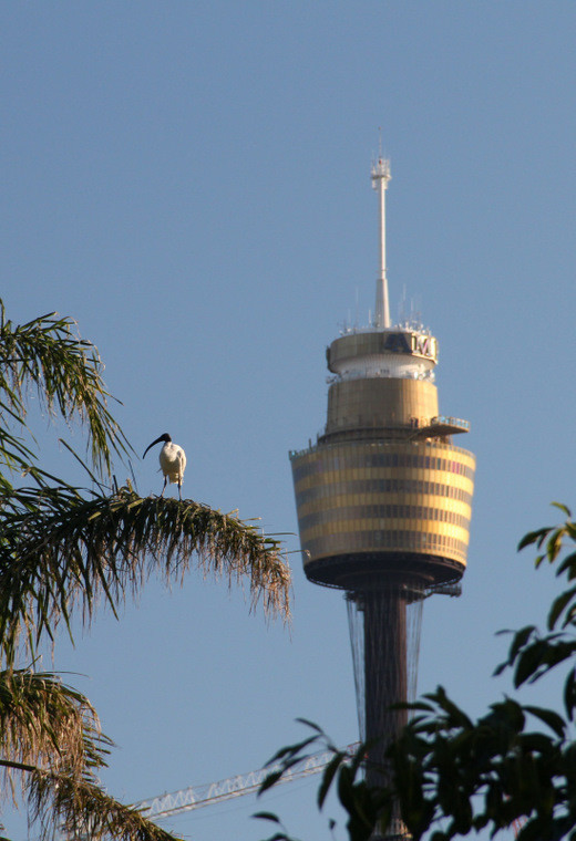 Australia - od Sydney do Kakadu