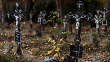 Bezimienny cmentarz na obrzeżach Wiednia