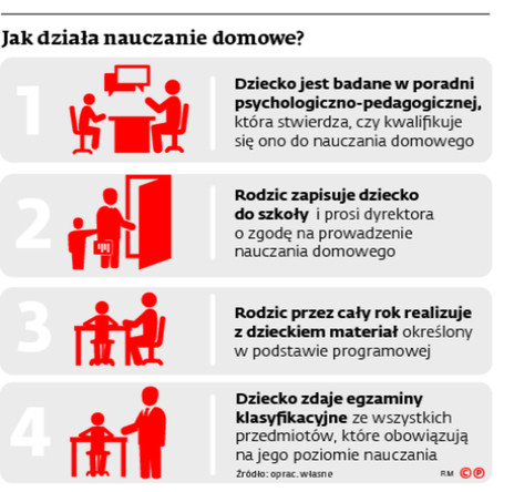 Jak działa nauczanie domowe?