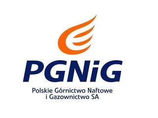 PGNiG_logo