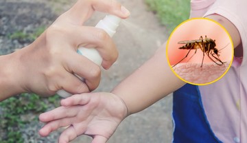 Epidemia dengi w kilku krajach. Zabrakło sprayów na komary. Zamówili je... w Polsce