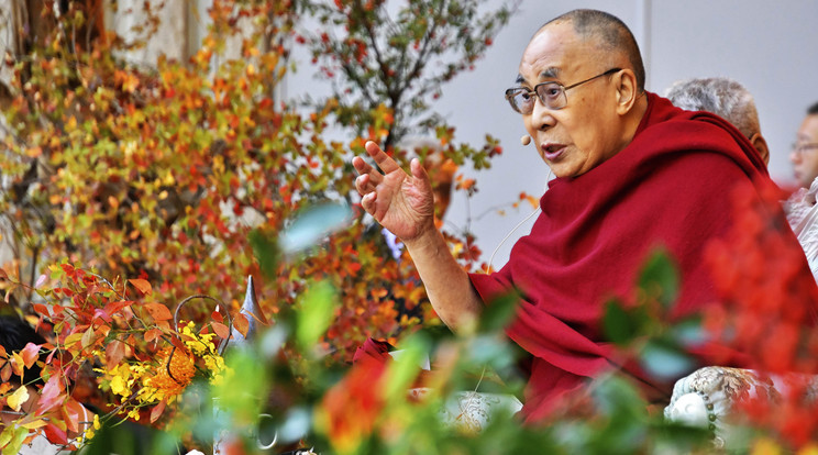 Kórházban kezelik a 83 éves dalai lámát / Fotó:Northfoto