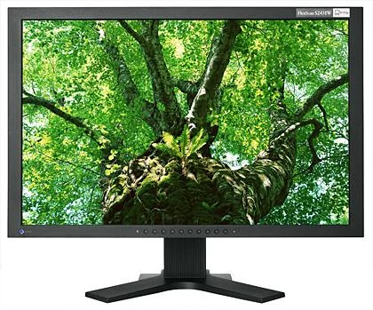 EIZO FlexScan S2431W