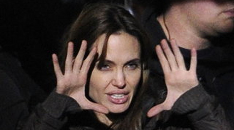 Angelina Jolie rendezni akar már