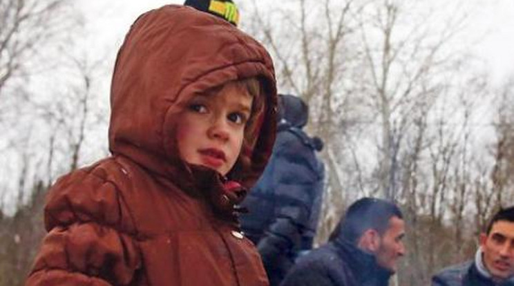 Megrázó képek: Ezrével jönnek a menekültek a szerb határon