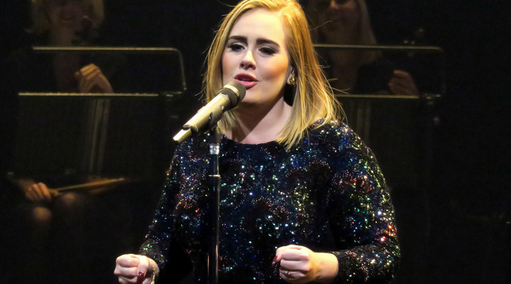 Adele ismét a gyerekvállaláson gondolkozik /Fotó: Northfoto