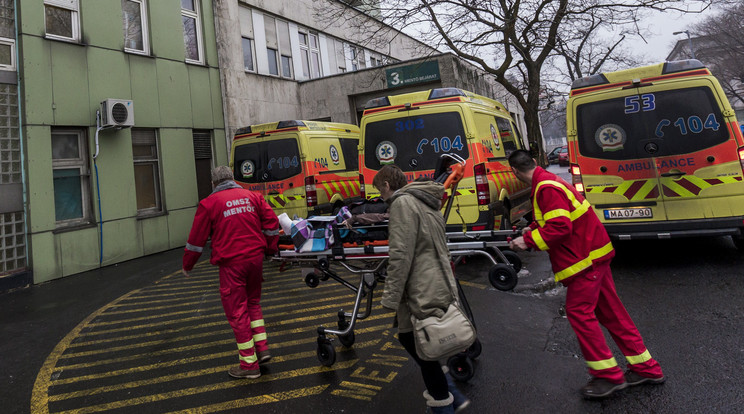 /Fotó: MTI -Szigetváry Zsolt