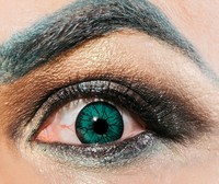 如何搭梯子访问外网