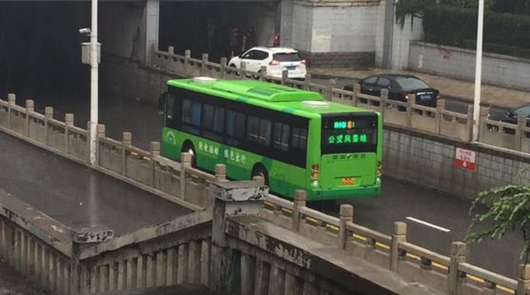 A buszsofőr nem mindennapi mutatványt csinált