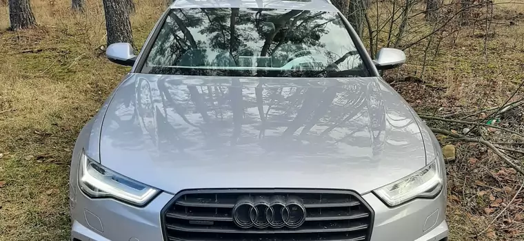 Luksusowe Audi z włączonym silnikiem porzucone w lesie
